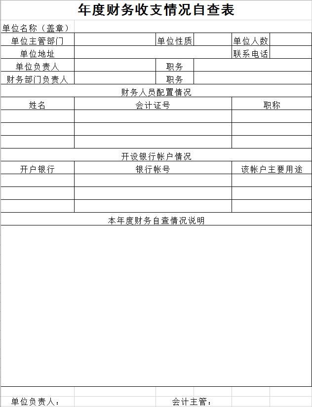 年度財務(wù)收支情況自查表