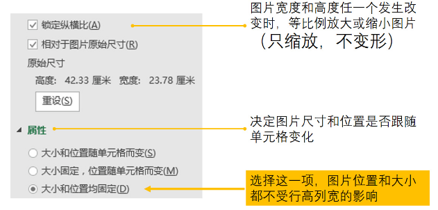 設置大小和屬性