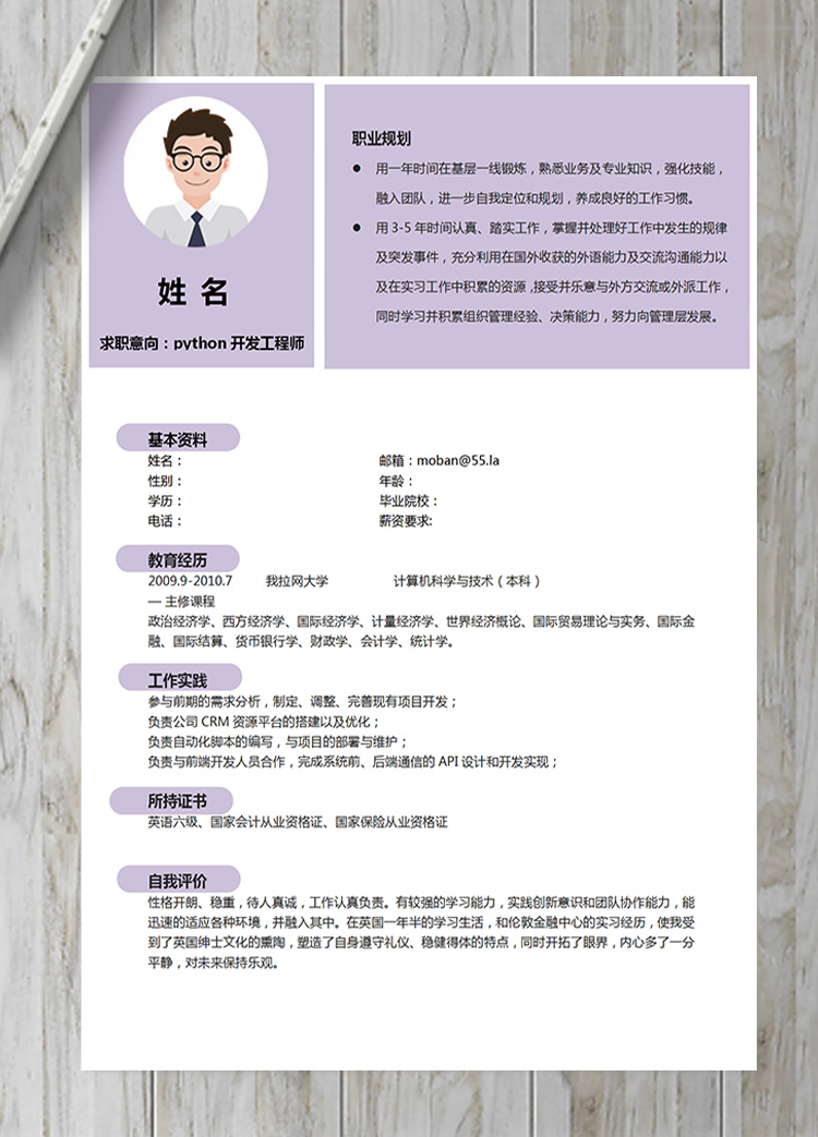 紫色系python開發(fā)工程師簡歷模板-1