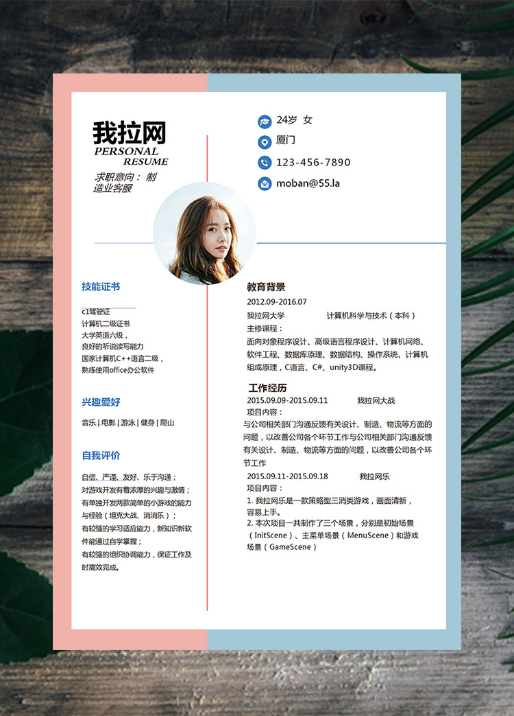 雙色拼接時(shí)尚制造業(yè)客服簡(jiǎn)歷模板