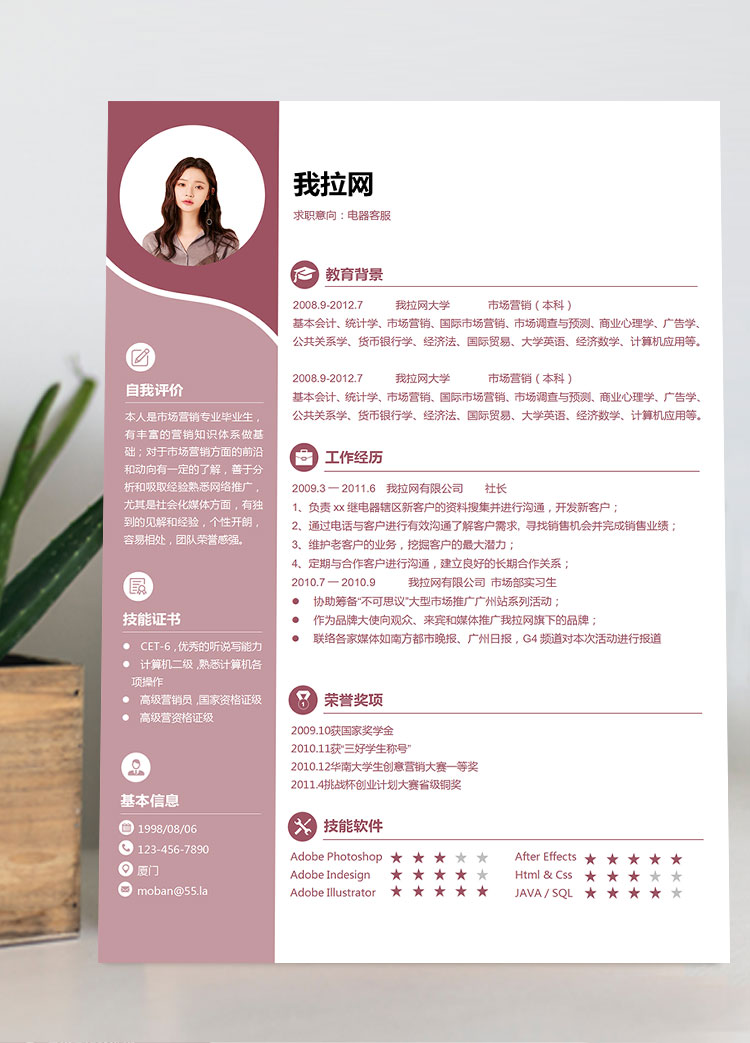 粉紅色時(shí)尚創(chuàng)意風(fēng)電器客服簡歷模板