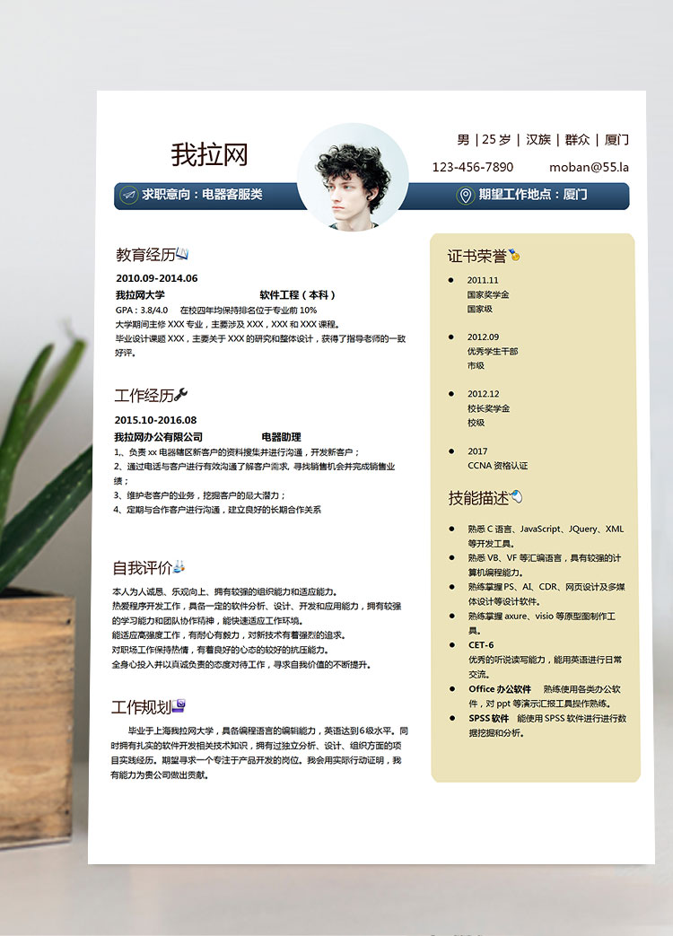 淺桔黃現(xiàn)代風(fēng)格電器客服簡歷模板