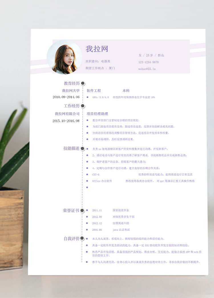 淺紫色創(chuàng)意風電器客服簡歷模板