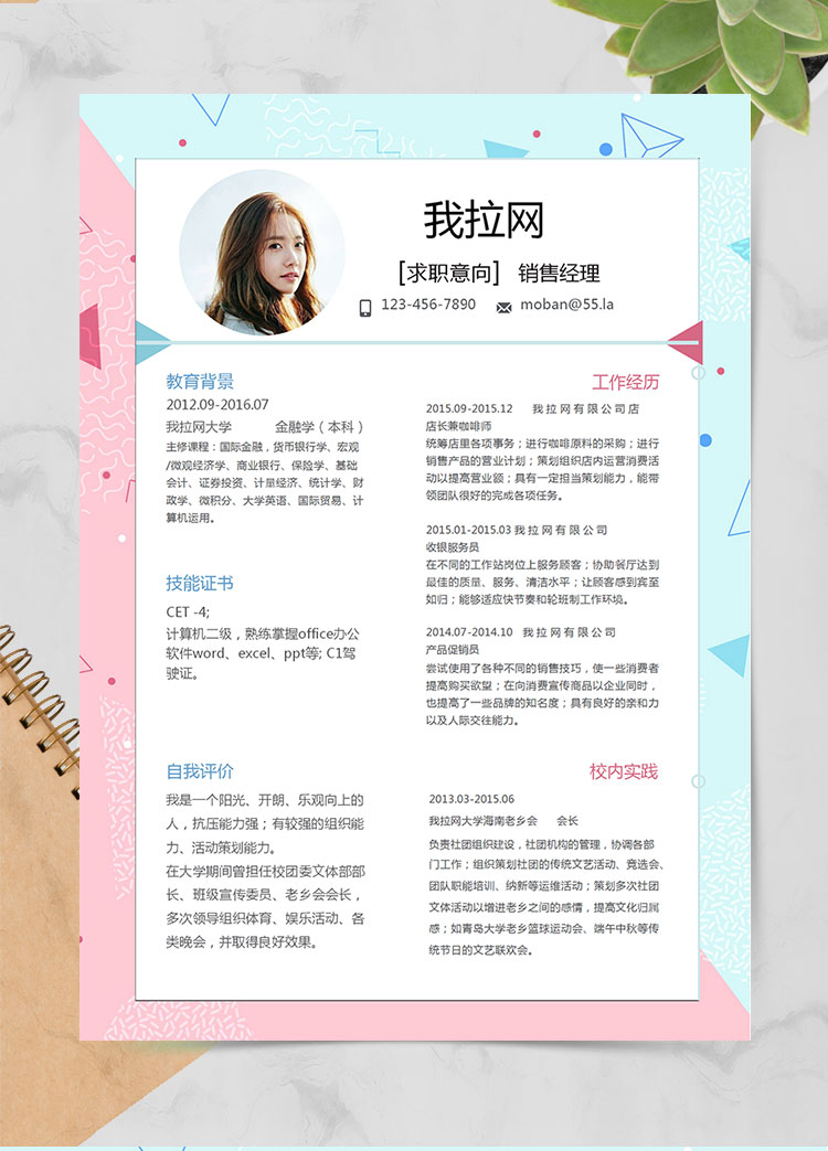 彩色系圖形風(fēng)格銷售經(jīng)理簡(jiǎn)歷模板