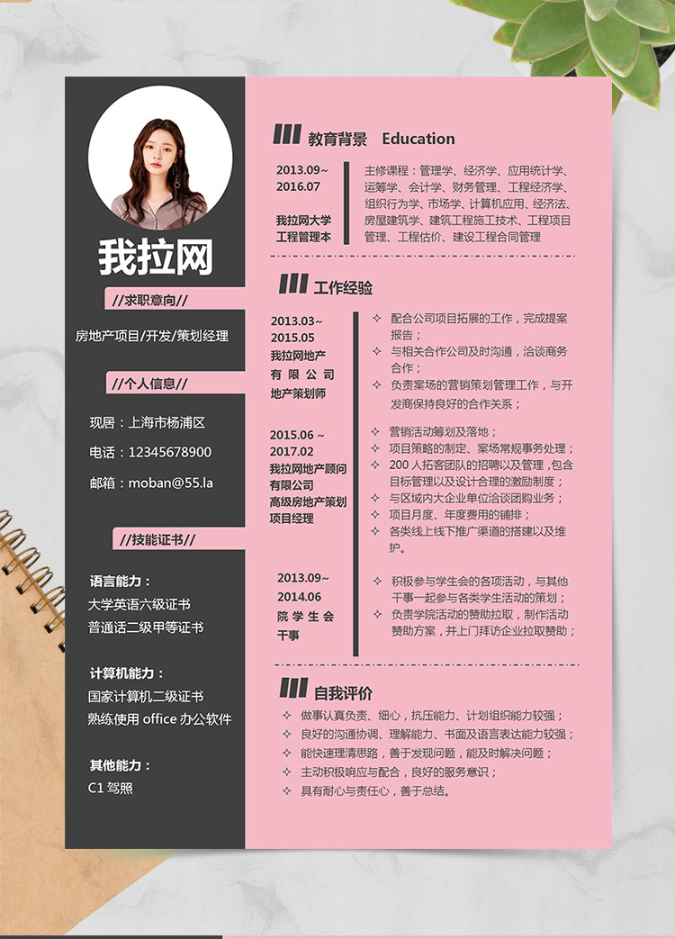 粉色系創(chuàng)意風(fēng)房地產(chǎn)策劃經(jīng)理簡歷