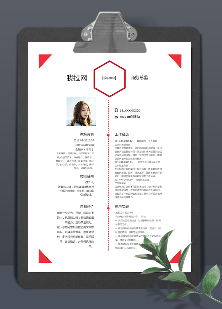 紅色簡(jiǎn)約大氣風(fēng)格商務(wù)總監(jiān)簡(jiǎn)歷模板
