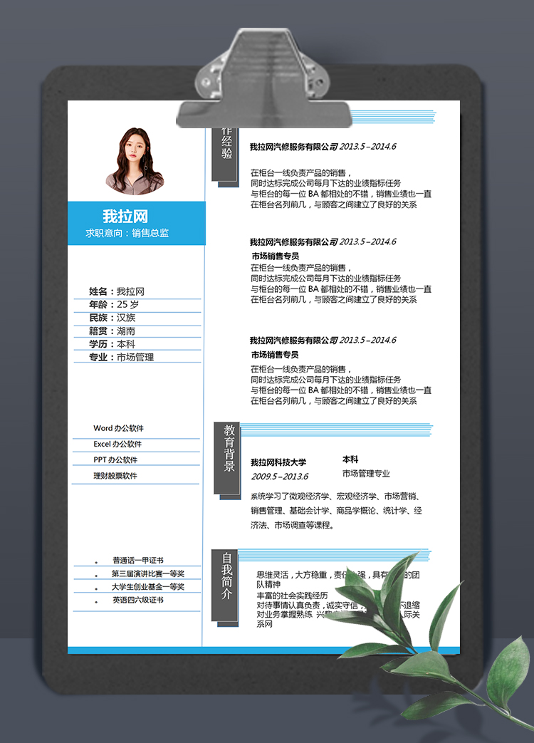 簡(jiǎn)約灰藍(lán)線條銷(xiāo)售總監(jiān)簡(jiǎn)歷求職簡(jiǎn)歷Word模板