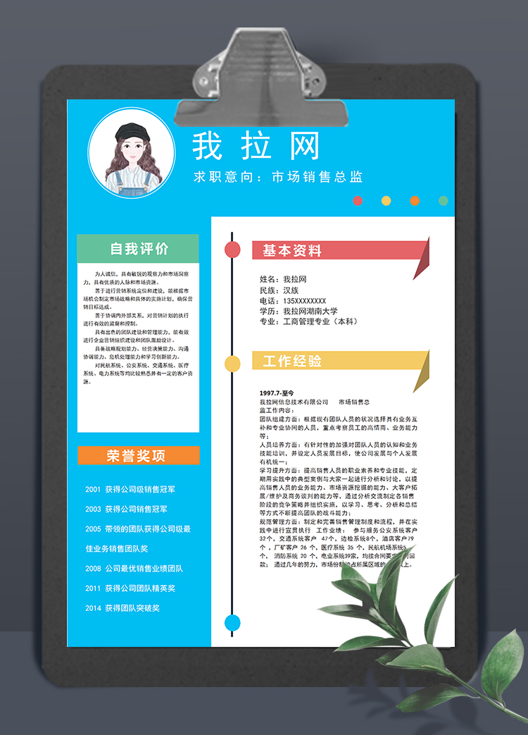 唯美彩色風(fēng)格市場銷售總監(jiān)簡歷模板