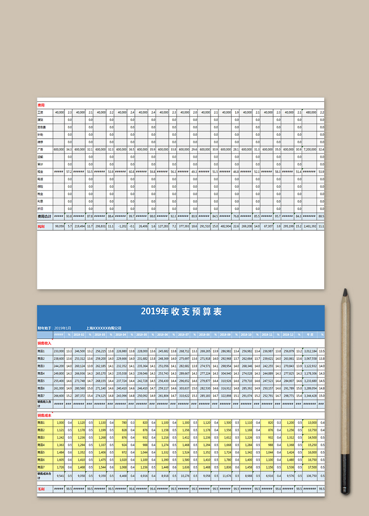 2019年收支預(yù)算表
